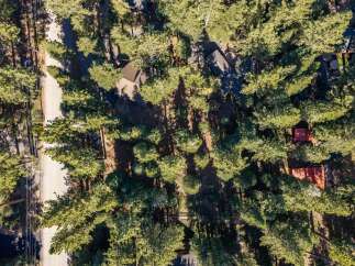 Discover this picturesque wooded lot, perfect for building your dream home amidst towering trees.
