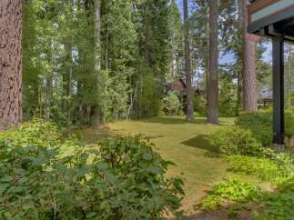 Nestled amidst a lush forest, this property offers a serene backyard oasis with a sprawling green lawn perfect for outdoor activities.