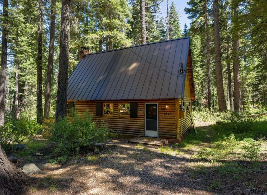 Nestled amidst towering pine trees, this charming log cabin offers a serene retreat.