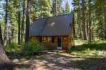 Nestled amidst towering pine trees, this charming log cabin offers a serene retreat.