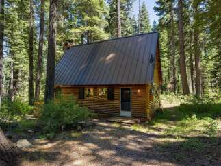 Nestled amidst towering pine trees, this charming log cabin offers a serene retreat.