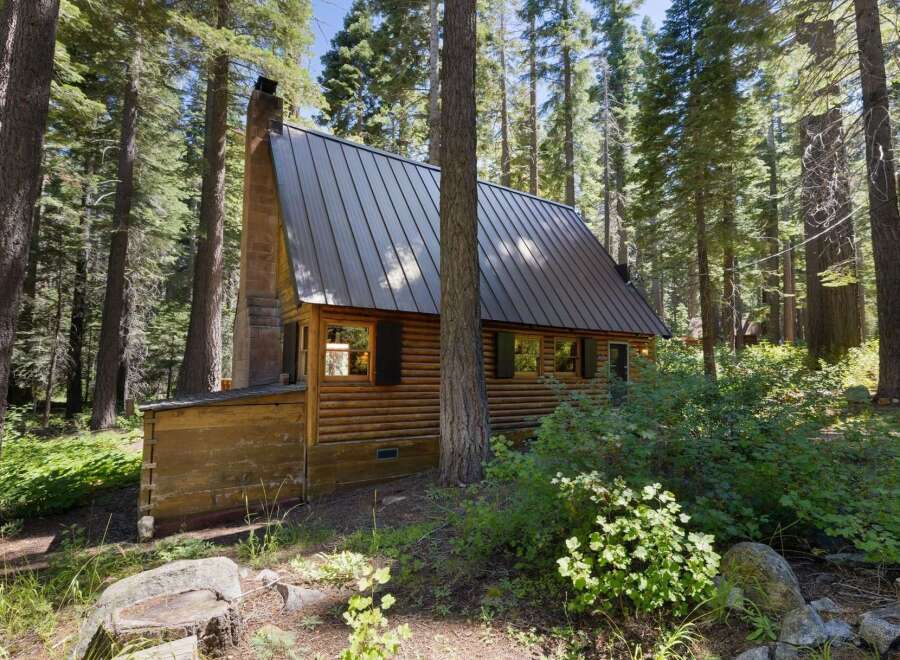 Nestled amidst towering trees, this charming log cabin offers a serene retreat.