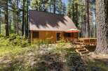 Escape to this charming log cabin nestled in a serene forest setting.