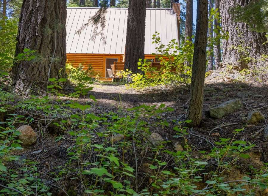 Nestled amongst towering trees, this charming cabin offers a serene escape.