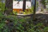 Nestled amongst towering trees, this charming cabin offers a serene escape.