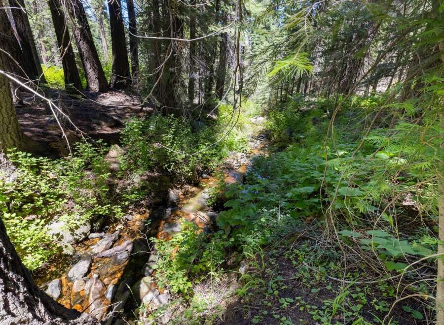 Discover a serene forest retreat with a charming creek flowing through the property.