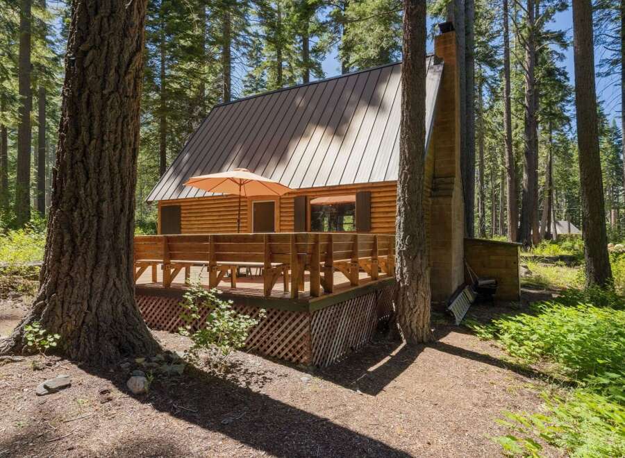 Escape to this charming log cabin nestled amongst tall pine trees, offering a serene forest retreat.