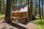 Escape to this charming log cabin nestled amongst tall pine trees, offering a serene forest retreat.