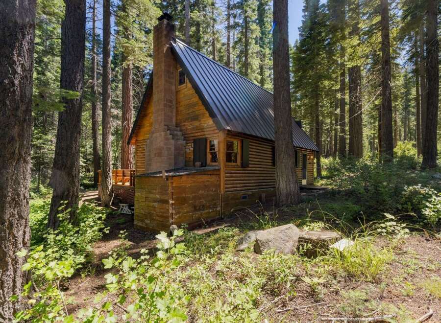 Nestled amidst towering pine trees, this charming log cabin offers a serene forest retreat.