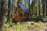 Nestled amidst towering pine trees, this charming log cabin offers a serene forest retreat.