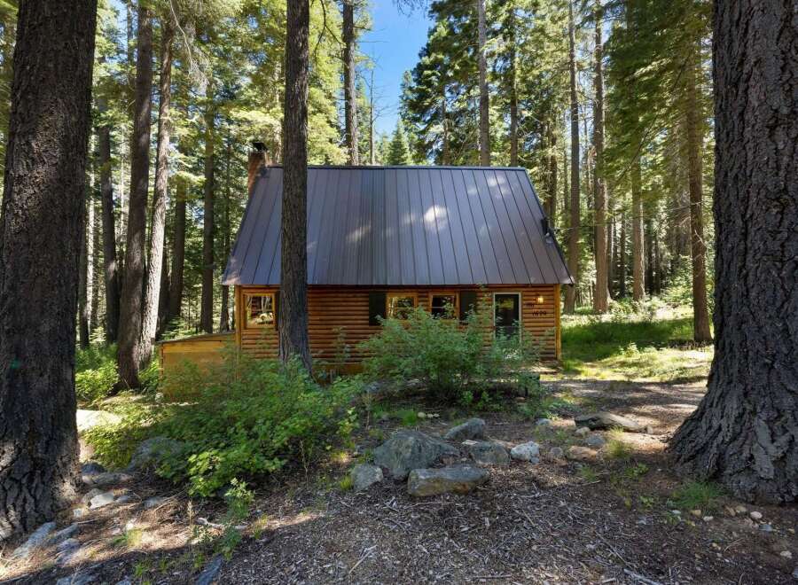 Nestled amidst towering pine trees, this charming log cabin offers a serene retreat.