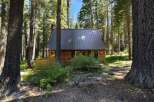 Nestled amidst towering pine trees, this charming log cabin offers a serene retreat.
