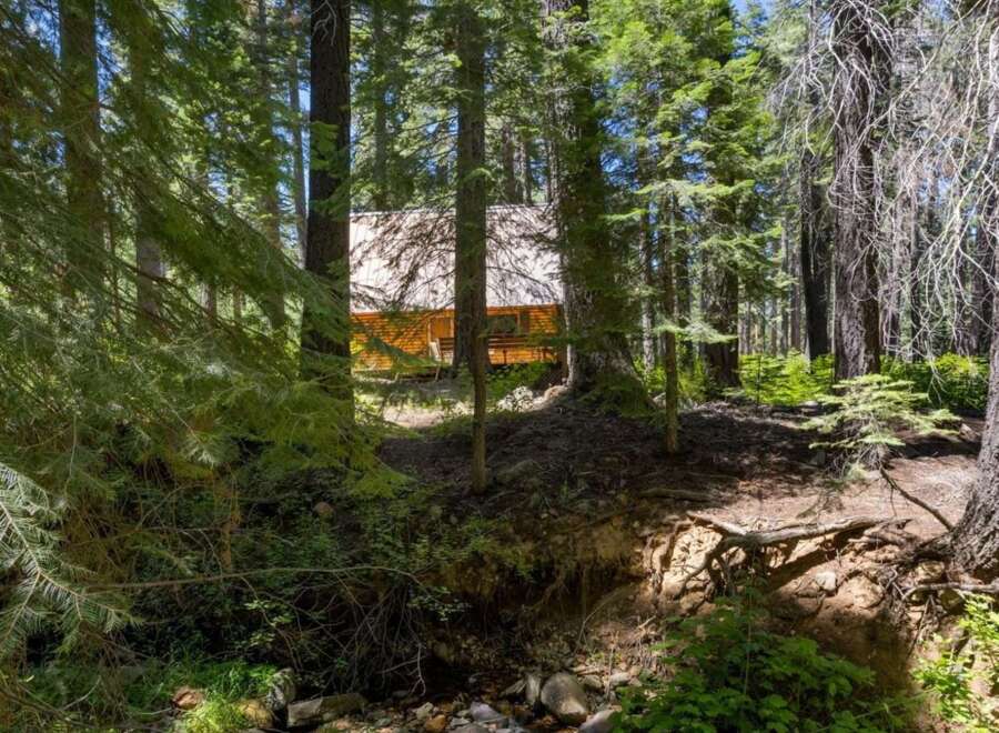 Nestled within a serene forest, this charming cabin offers a tranquil retreat surrounded by nature's beauty.