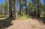 Escape to this charming cabin nestled amidst a serene forest setting.