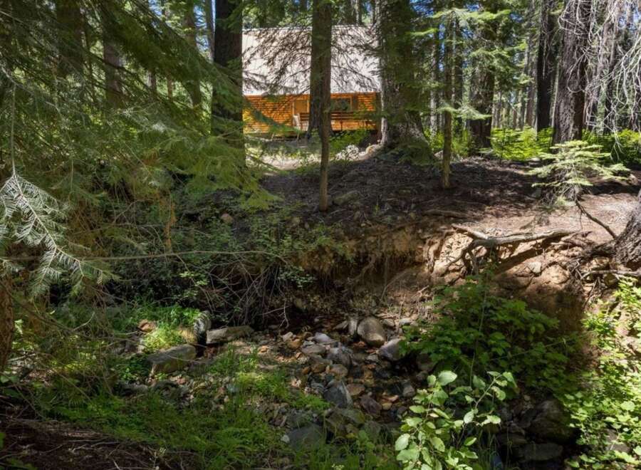 Nestled amongst towering trees, this charming cabin offers a serene retreat.