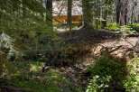 Nestled amongst towering trees, this charming cabin offers a serene retreat.