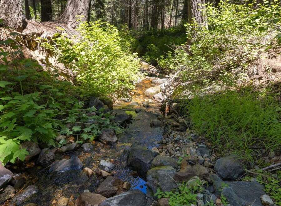 Discover a serene forest retreat with a charming creek flowing through the property.