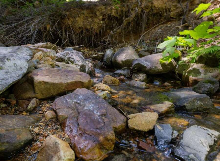 Discover a serene natural escape with this stunning property, featuring a picturesque stream flowing through a lush forest.