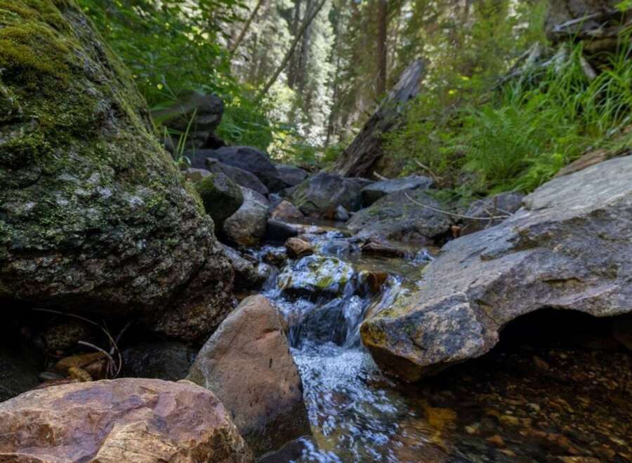 Discover a serene escape with this stunning property, featuring a picturesque stream flowing through lush, natural surroundings.