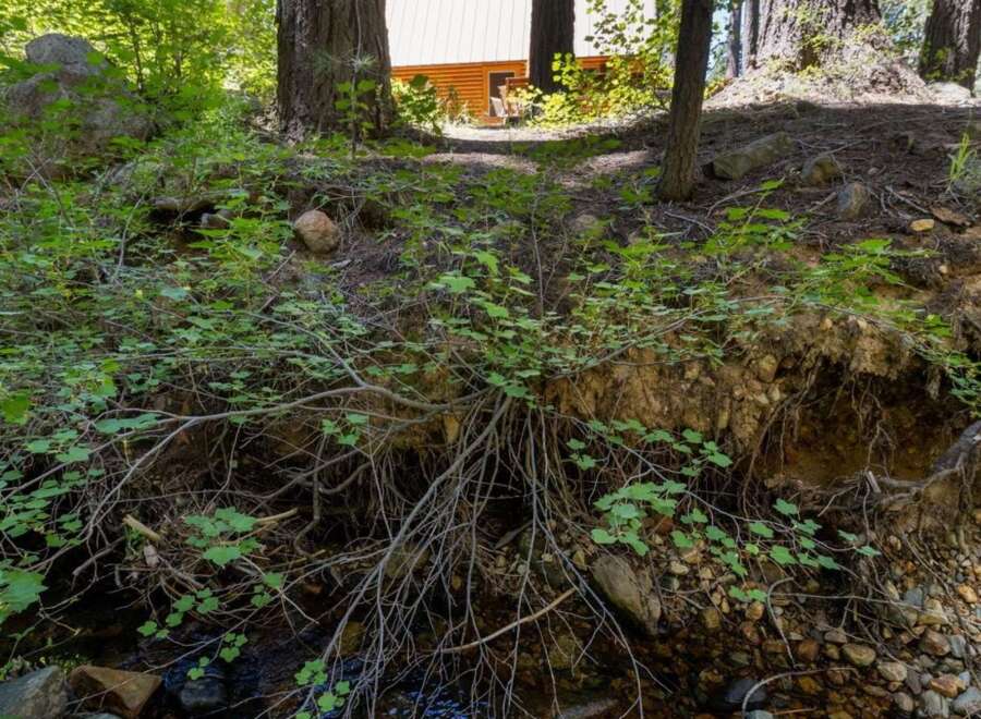 Nestled amongst towering trees, this charming cabin offers a serene retreat with a picturesque stream flowing nearby.