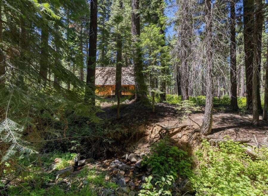 Nestled amidst a serene forest, this charming cabin offers a tranquil retreat surrounded by towering trees and a babbling creek.
