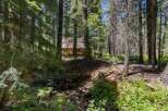 Nestled amidst a serene forest, this charming cabin offers a tranquil retreat surrounded by towering trees and a babbling creek.