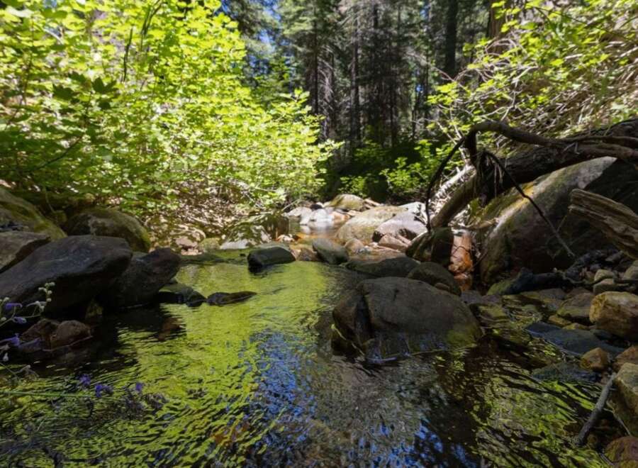 Discover a serene escape with this stunning property featuring a tranquil creek flowing through lush greenery.