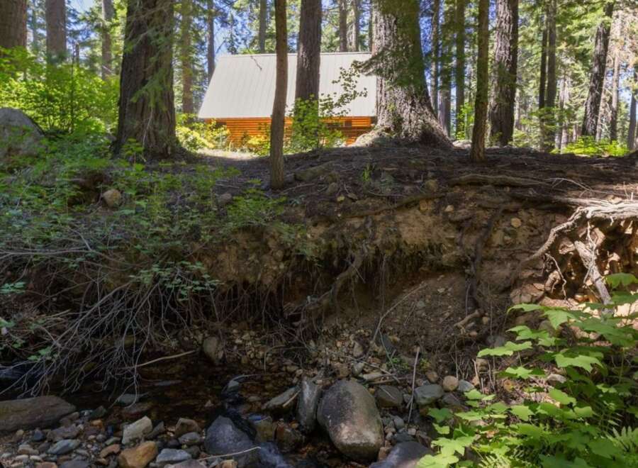 Nestled amongst towering trees, this charming cabin offers a serene retreat with a babbling brook flowing nearby.