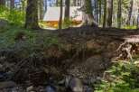Nestled amongst towering trees, this charming cabin offers a serene retreat with a babbling brook flowing nearby.