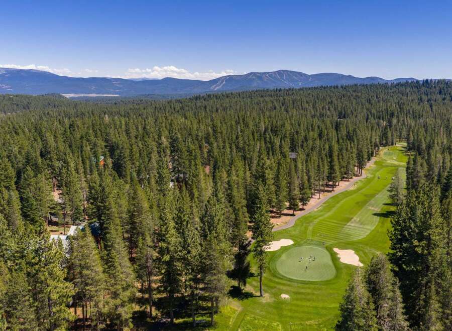 Experience luxury living nestled amidst a pristine pine forest with this stunning aerial view.