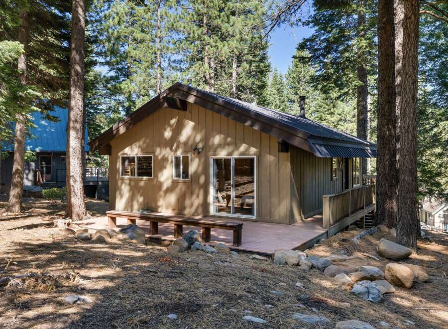 Nestled amongst tall pine trees, this charming cabin offers a serene retreat.