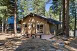 Nestled amongst tall pine trees, this charming cabin offers a serene retreat.