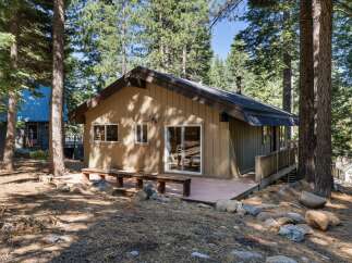 Nestled amongst tall pine trees, this charming cabin offers a serene retreat.