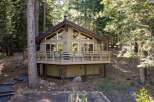Nestled among tall pine trees, this charming cabin offers a serene mountain retreat.
