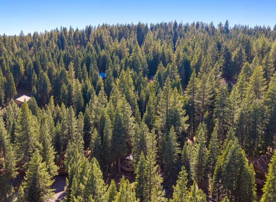 Nestled within a dense forest of mature pine trees, this property offers a secluded and serene mountain retreat.