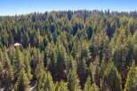 Nestled within a dense forest of mature pine trees, this property offers a secluded and serene mountain retreat.