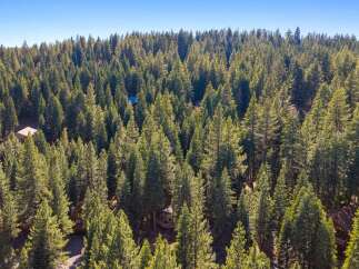 Nestled within a dense forest of mature pine trees, this property offers a secluded and serene mountain retreat.