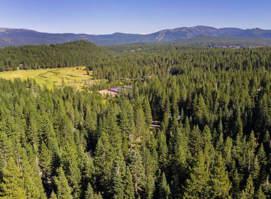 Discover this stunning property nestled amidst a vast expanse of lush green pine forest, offering unparalleled privacy and natural beauty.
