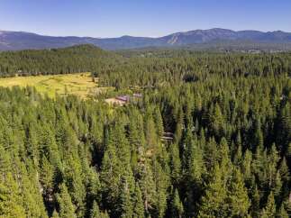 Discover this stunning property nestled amidst a vast expanse of lush green pine forest, offering unparalleled privacy and natural beauty.