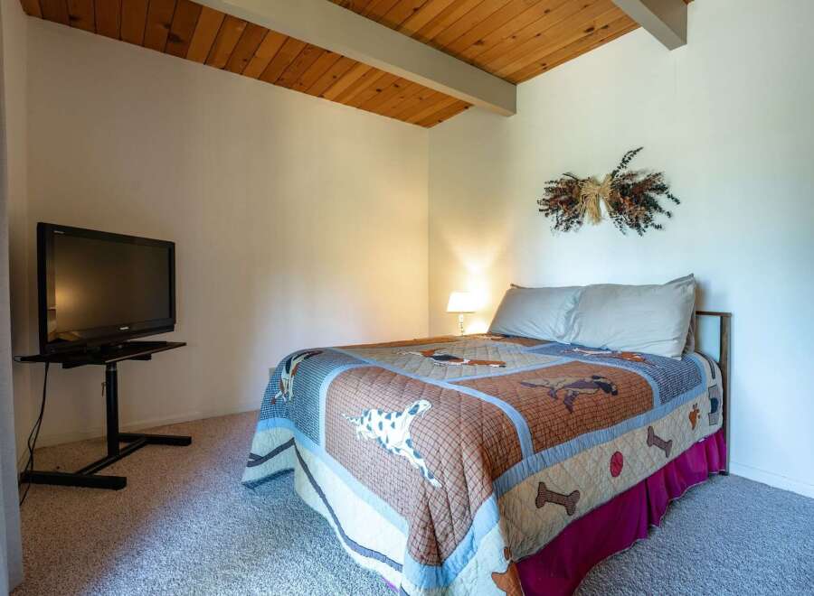 This charming bedroom features a cozy queen-size bed adorned with a playful dog-themed quilt, perfect for animal lovers.