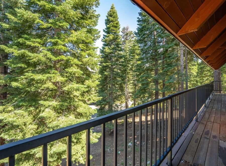 Enjoy breathtaking views from this stunning balcony, surrounded by majestic evergreen trees.