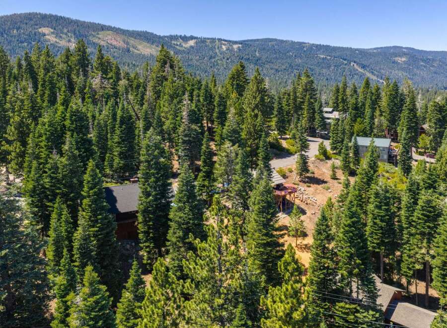 Nestled amidst a dense forest of towering pine trees, this property offers a secluded mountain retreat.