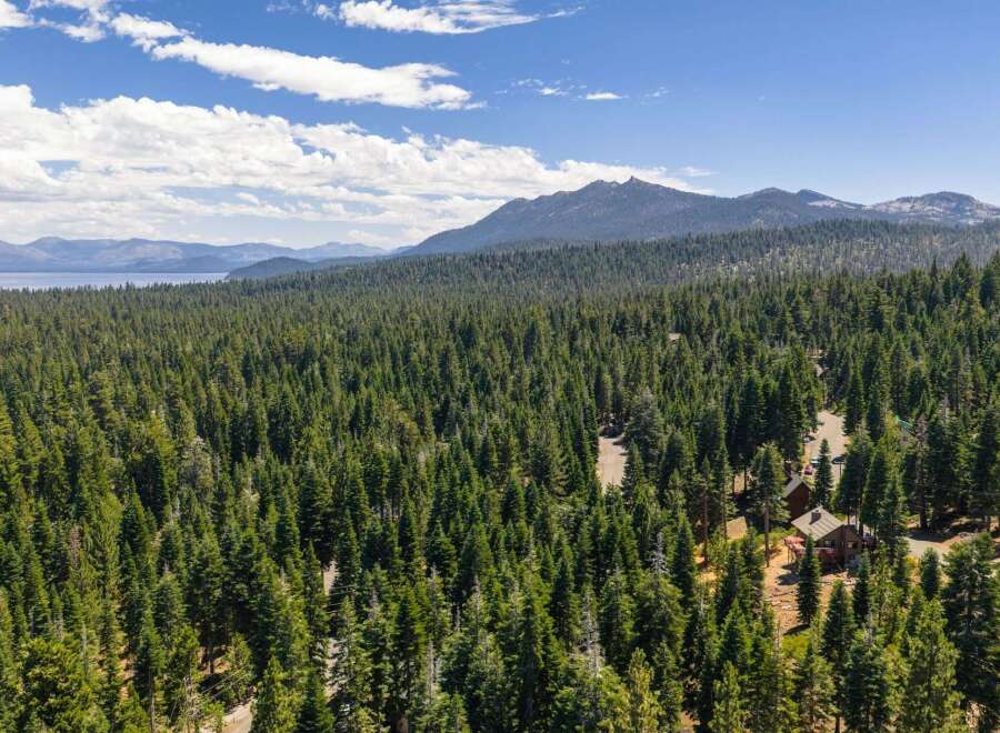 Nestled amidst a dense forest of towering pine trees, this property offers a serene and private retreat.