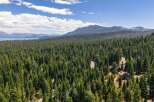 Nestled amidst a dense forest of towering pine trees, this property offers a serene and private retreat.