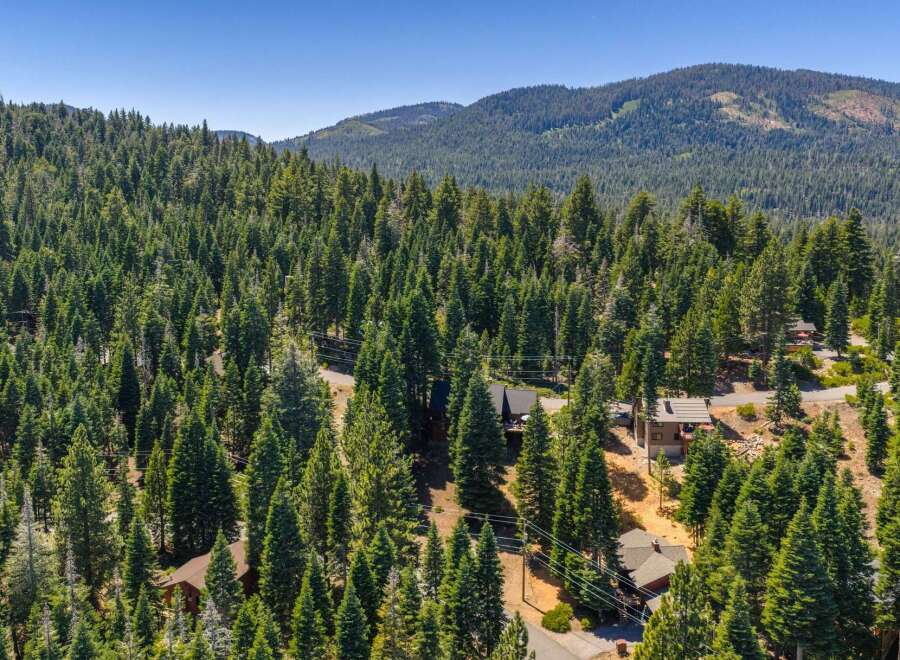 Nestled amidst a dense forest of towering evergreen trees, this property offers a serene and private mountain retreat.