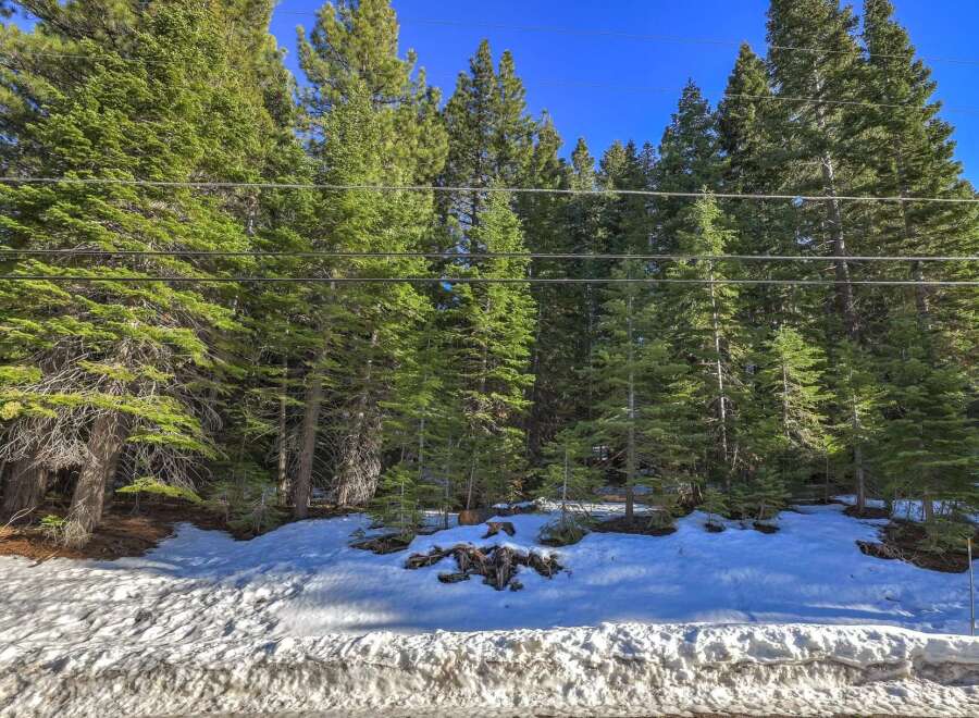Escape to this serene mountain property, nestled amongst towering evergreen trees and a pristine blanket of snow.