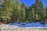 Escape to this serene mountain property, nestled amongst towering evergreen trees and a pristine blanket of snow.