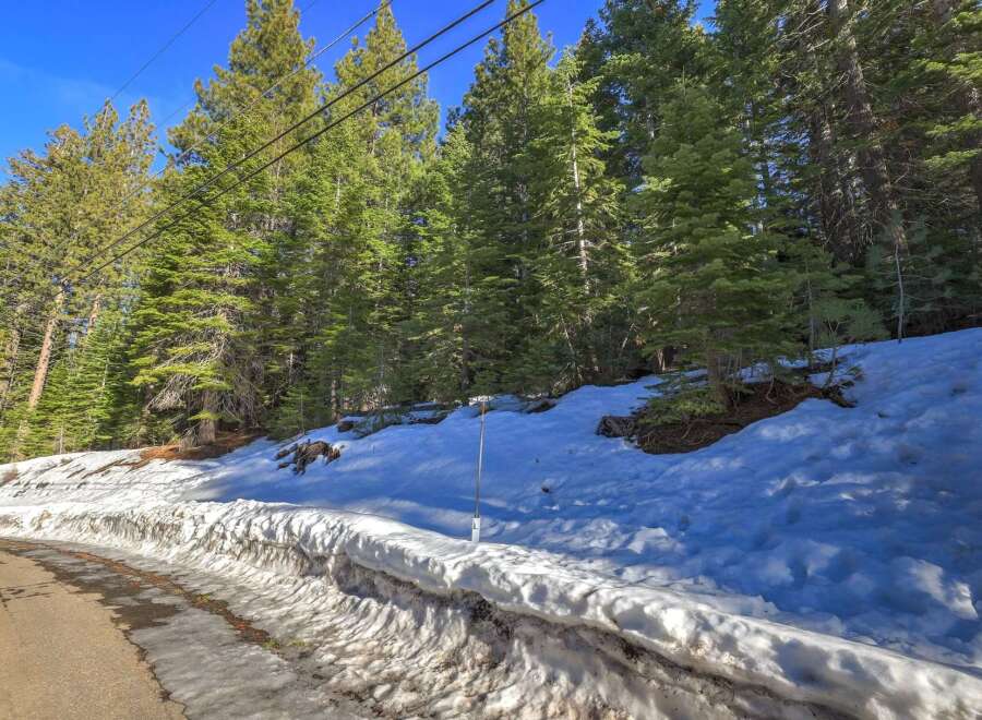 Experience the serene beauty of this mountain property, nestled amidst towering pine trees and a pristine snowy landscape.