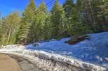 Experience the serene beauty of this mountain property, nestled amidst towering pine trees and a pristine snowy landscape.