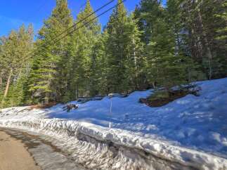 Experience the serene beauty of this mountain property, nestled amidst towering pine trees and a pristine snowy landscape.
